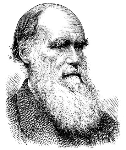 SPF Consulting AG - Agile Services - Charles Darwin Quote